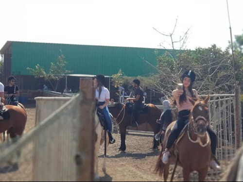 החווה הצ'רקסית